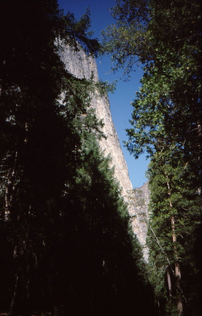 dnb route in profile