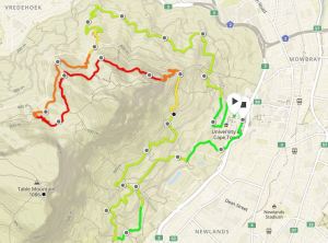 Two Ocean's Trail Run 22km